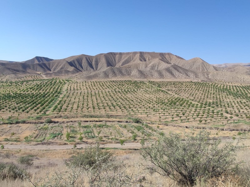 Dashtakar Plain