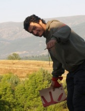 Theodoros